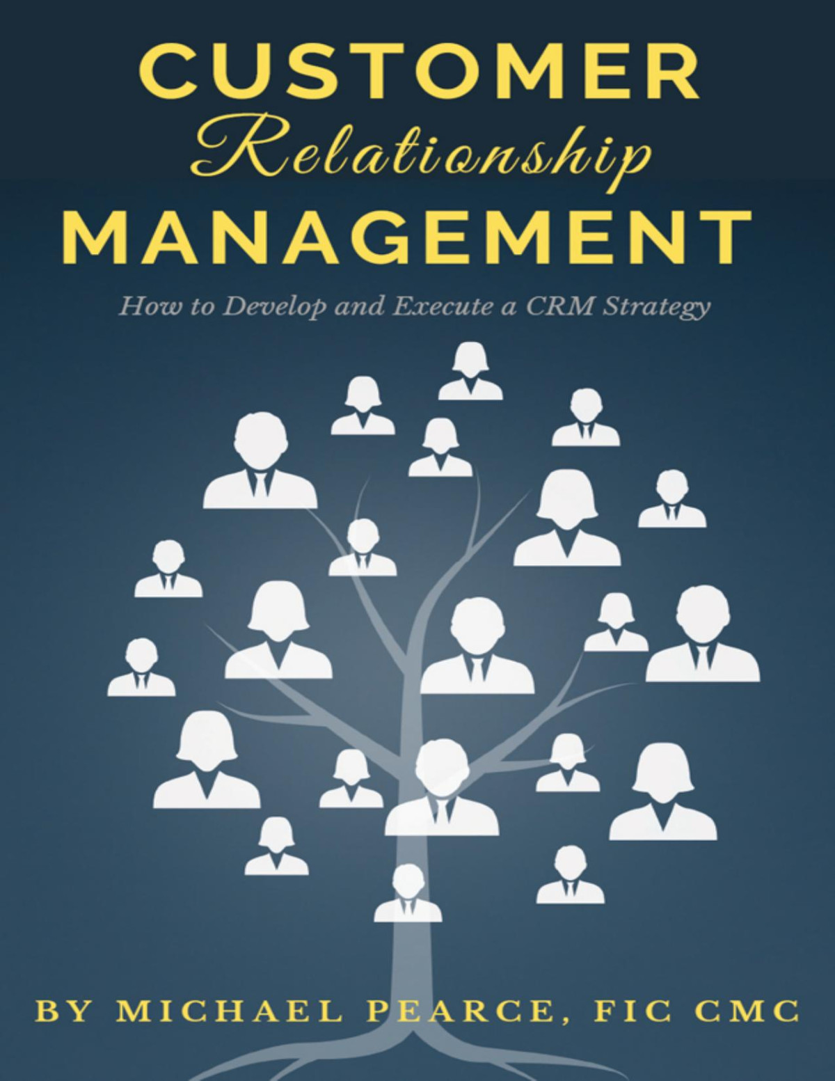 Customer Relationship Management How To Develop And Execute A Crm Strategy Michael Pearce