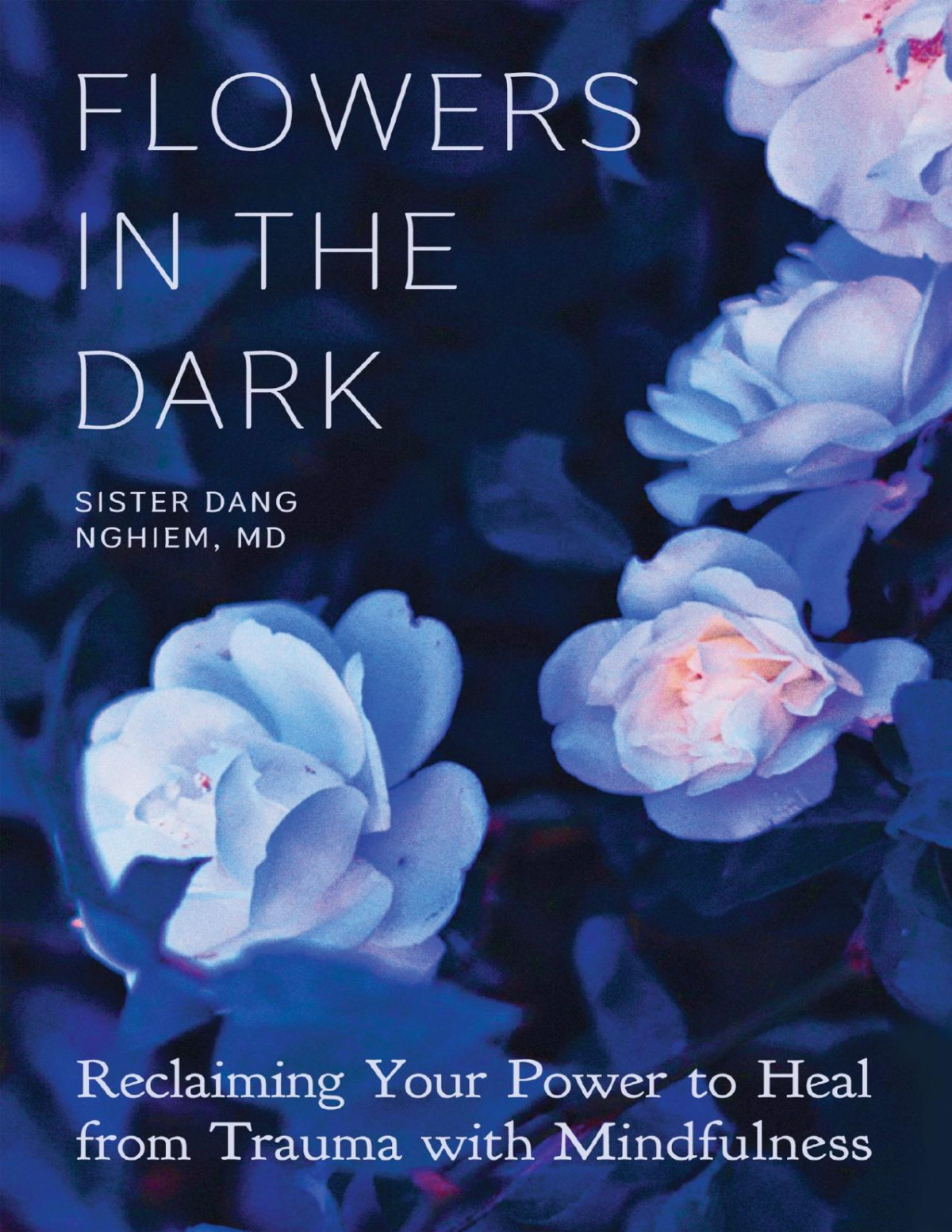 Flowers In The Dark Sister Dang Nghiem Nghiem Sister Dang