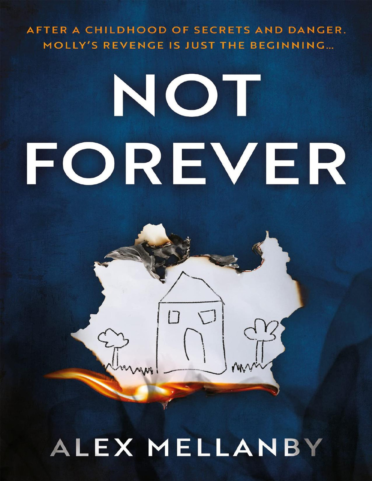Not Forever Alex Mellanby Mellanby Alex