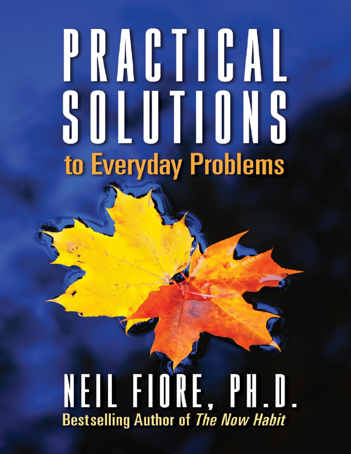 Practical Solutions To Everyday Problems Neil A Fiore Phd Neil A Fiore