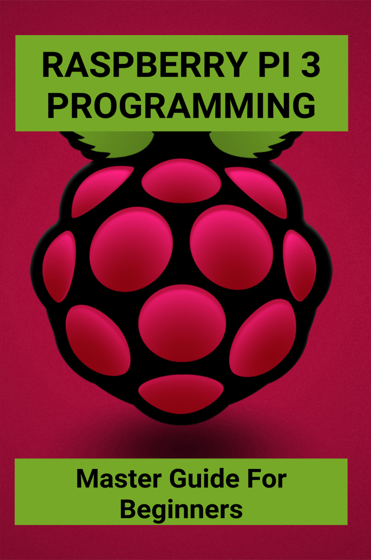 Raspberry Pi 3 Programming Master Guide For Beginners Advanced Raspberry Pi 4 Projects Kijek