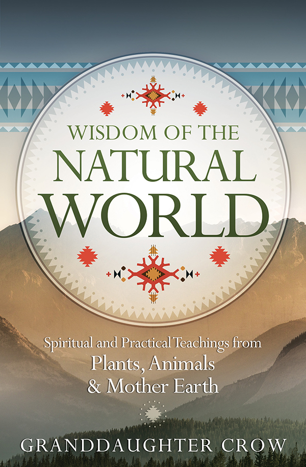 Wisdom Of The Natural World Granddaughter Crow