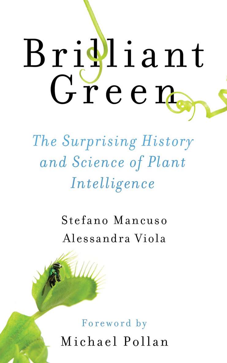 Brilliant Green The Surprising History And Science Of Plant Intelligence Stefano Mancuso Alessandra Viola Mancuso