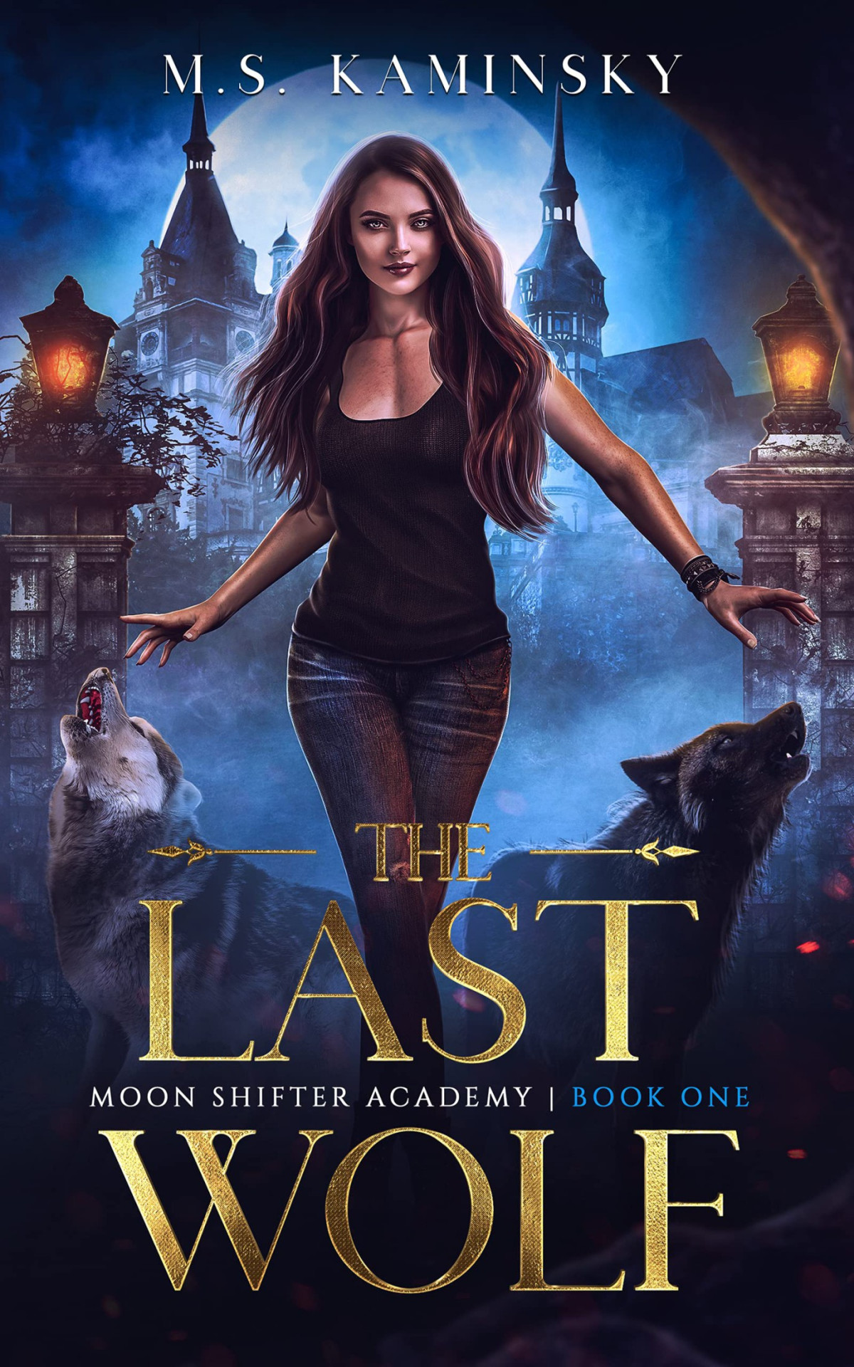 The Last Wolf Moon Shifter Academy Ms Kaminsky Kaminsky Ms
