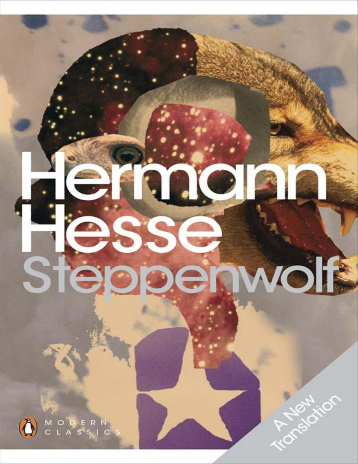 Steppenwolf Hermann Hesse David Horrocks Hermann Hesse David Horrocks