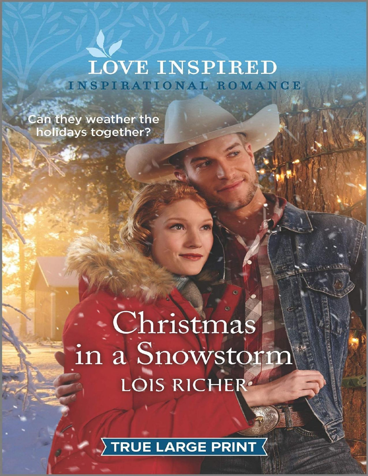 Christmas In A Snowstorm Lois Richer