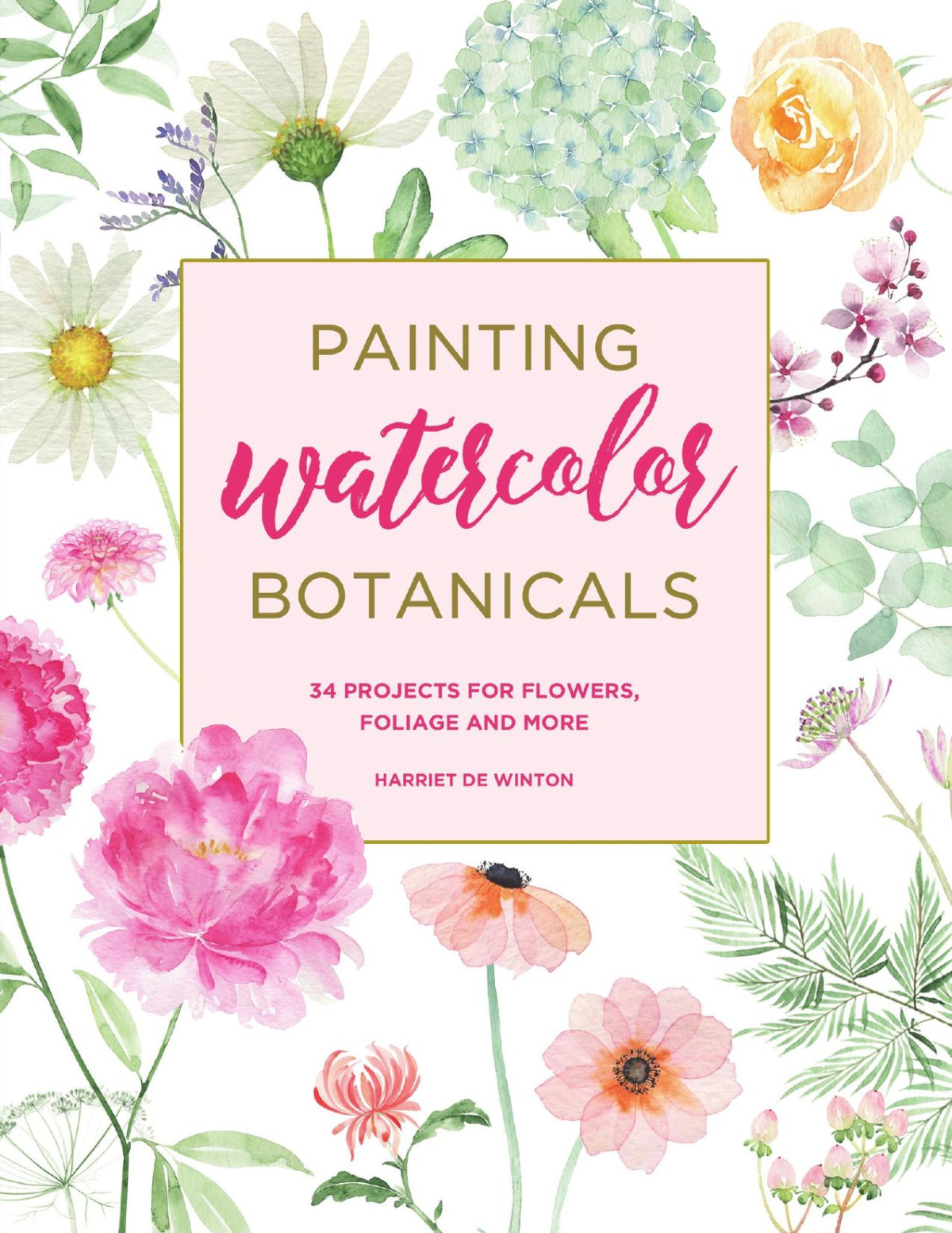 Painting Watercolor Botanicals Harriet De Winton
