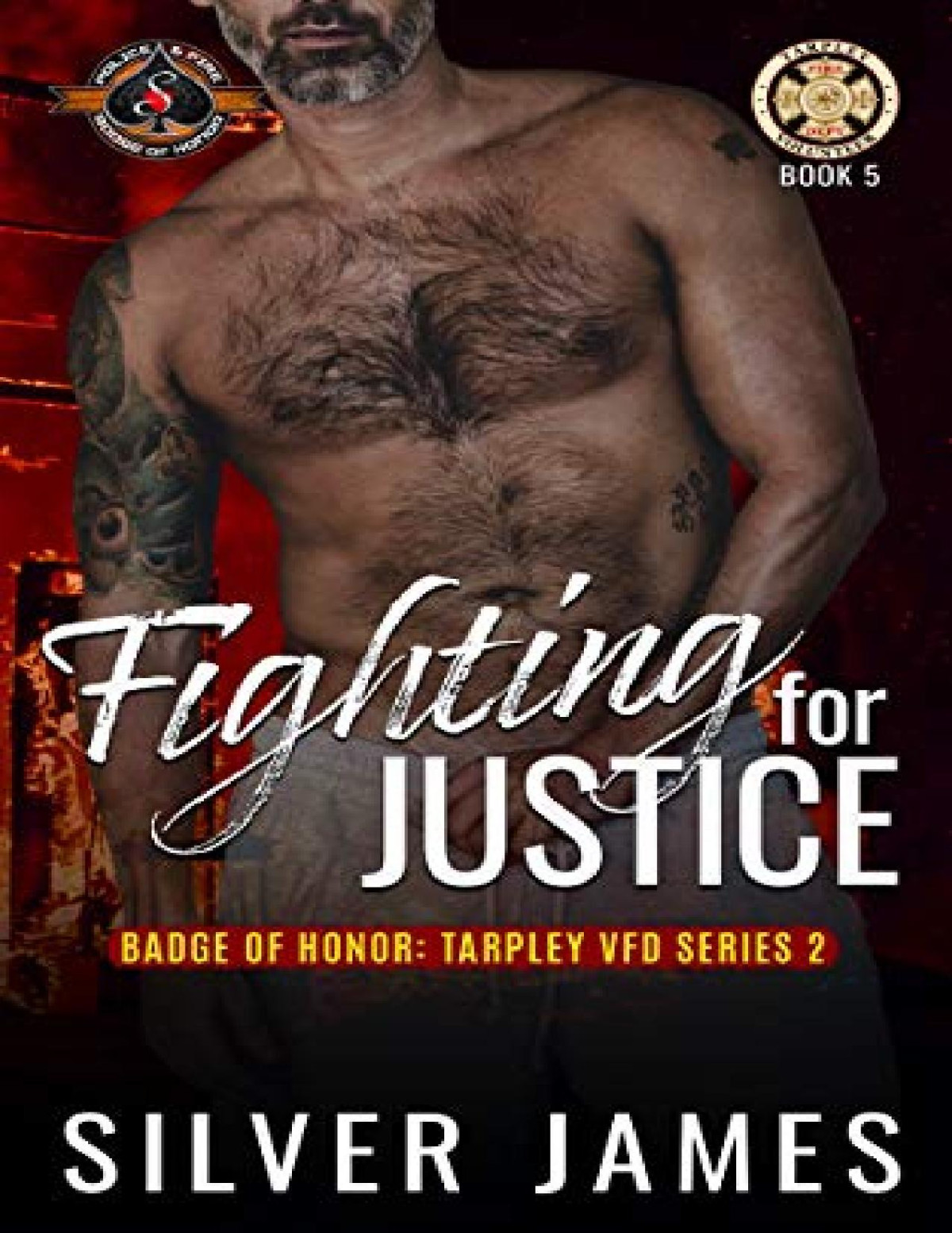 Fighting For Justice Silver James James Silver