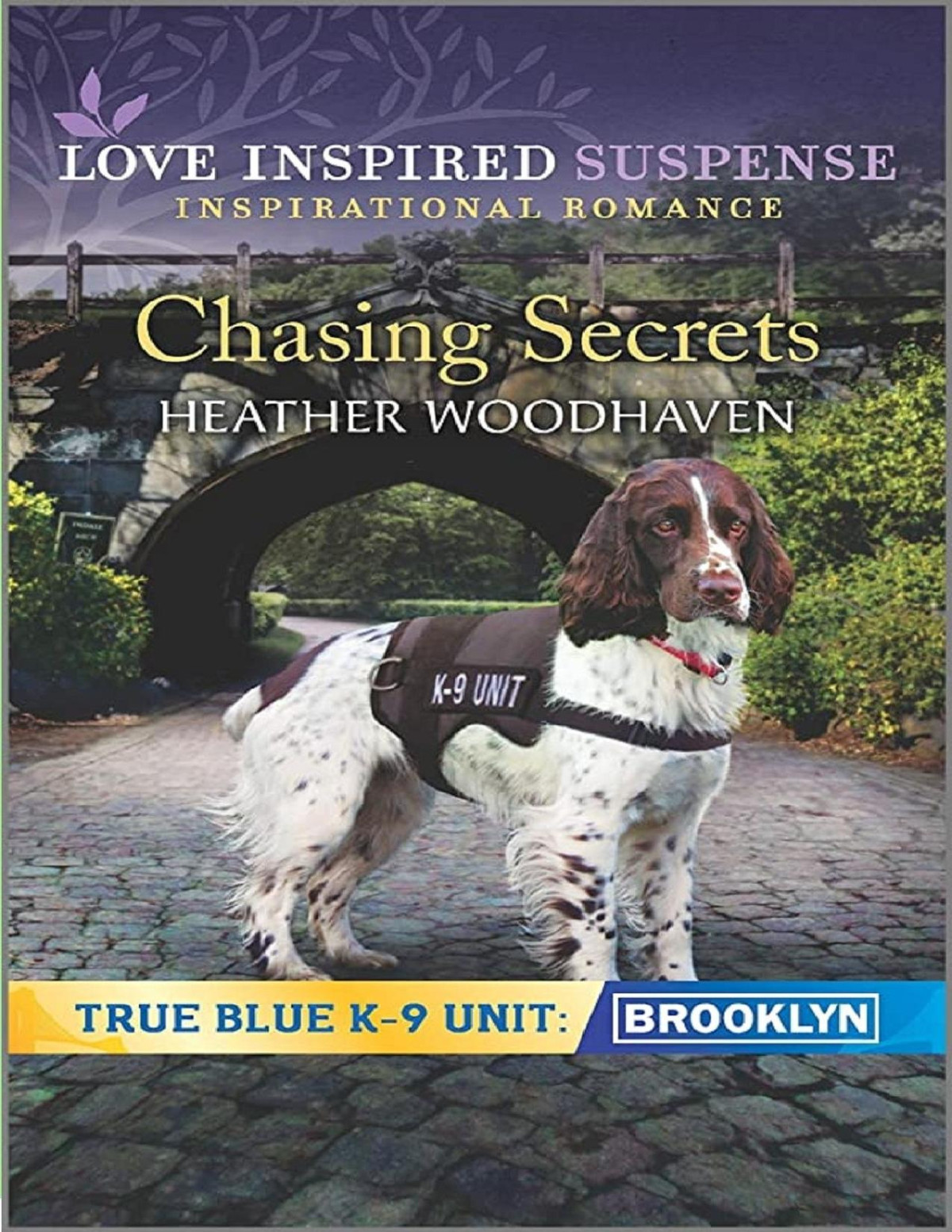Chasing Secrets True Blue K9 Unit Brooklyn Book 2 Heather Woodhaven Woodhaven