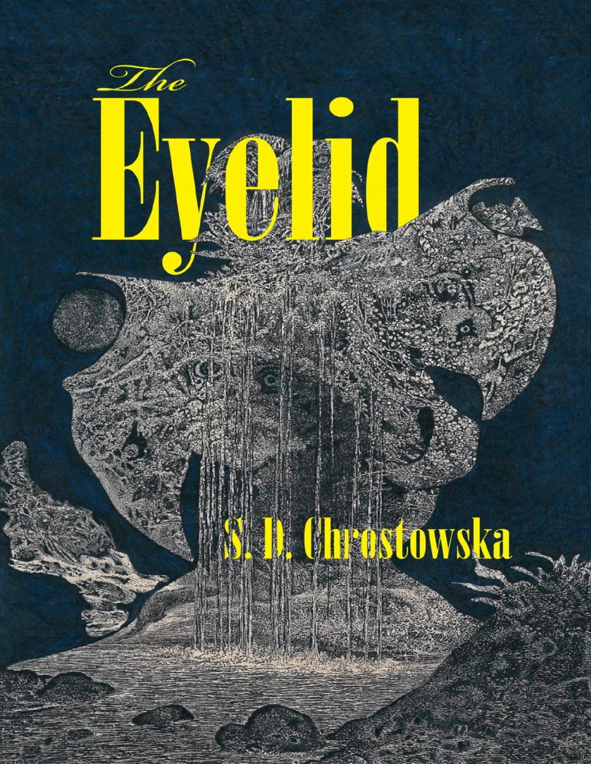 The Eyelid S D Chrostowska Chrostowska S D