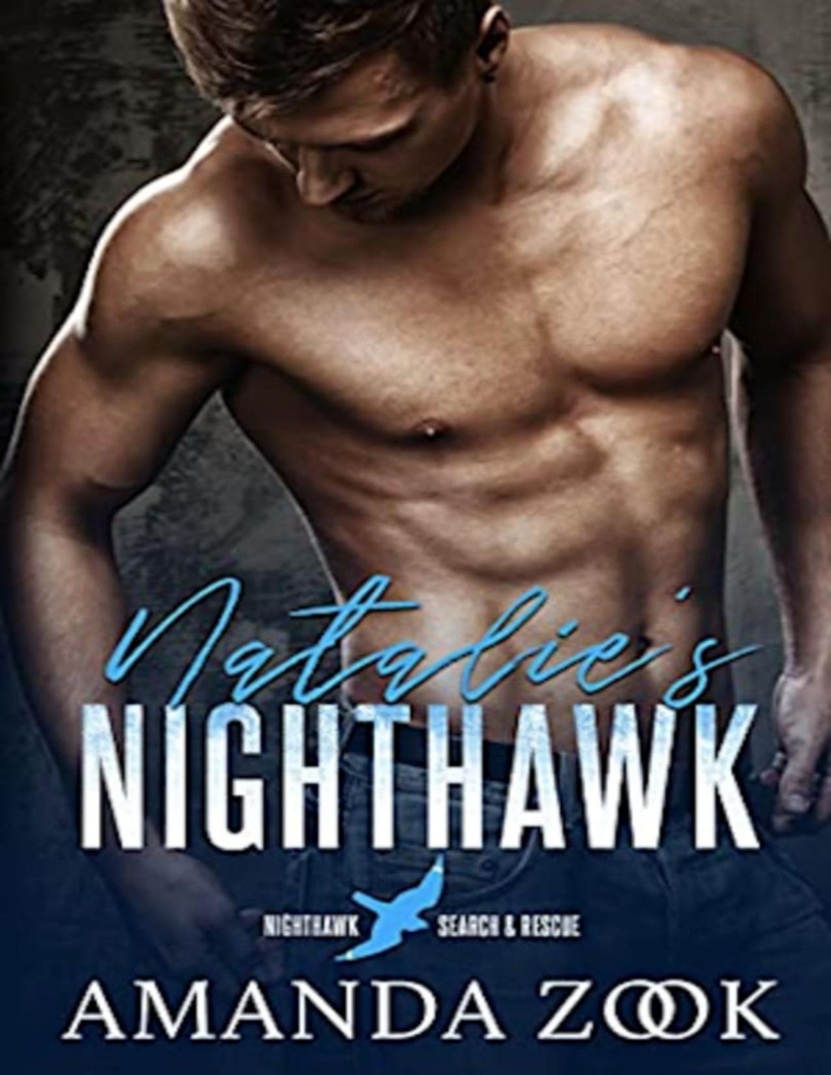 Natalies Nighthawk Nighthawk Search And Rescue Amanda Zook Zook