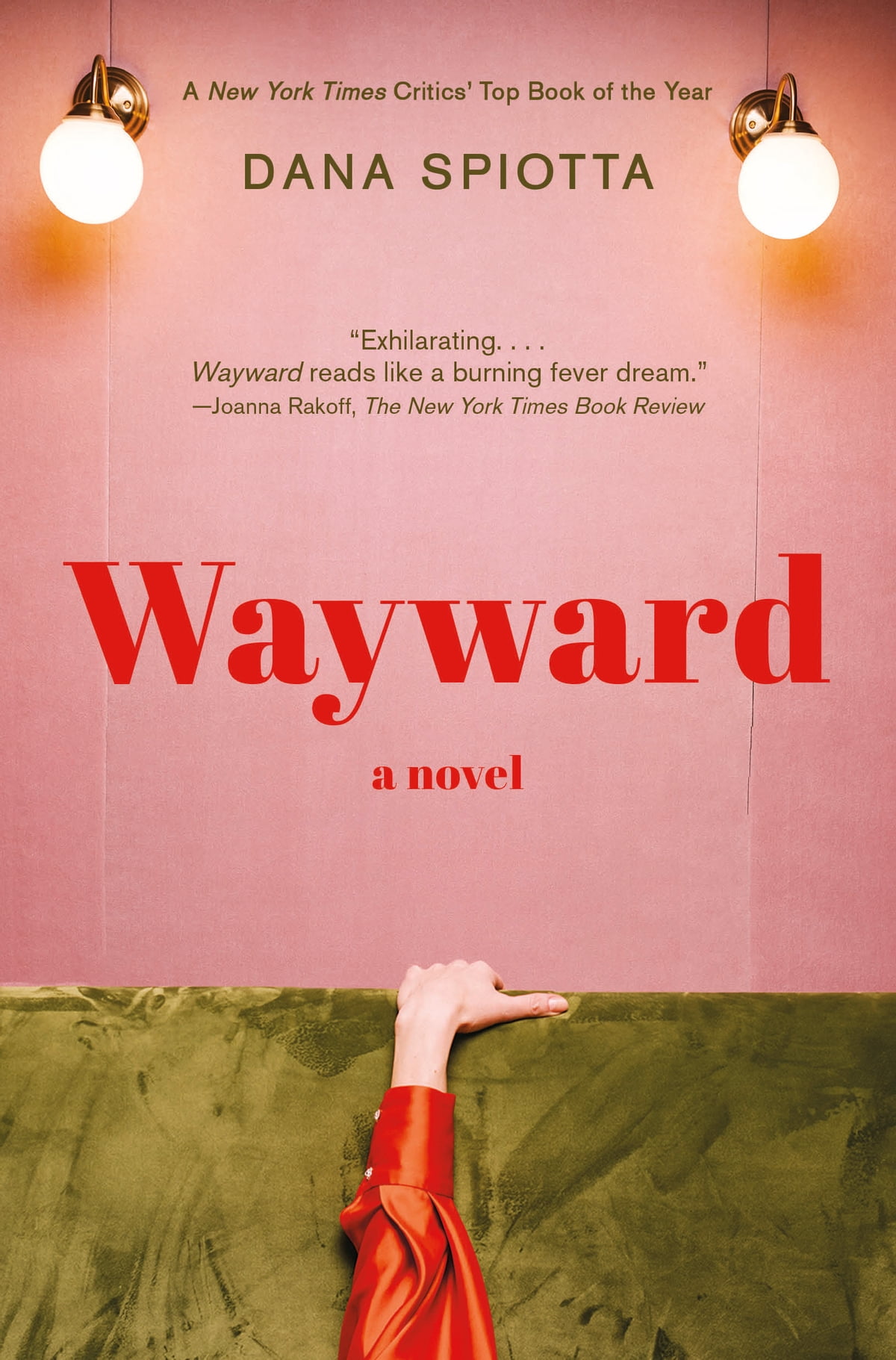 Wayward A Novel Dana Spiotta