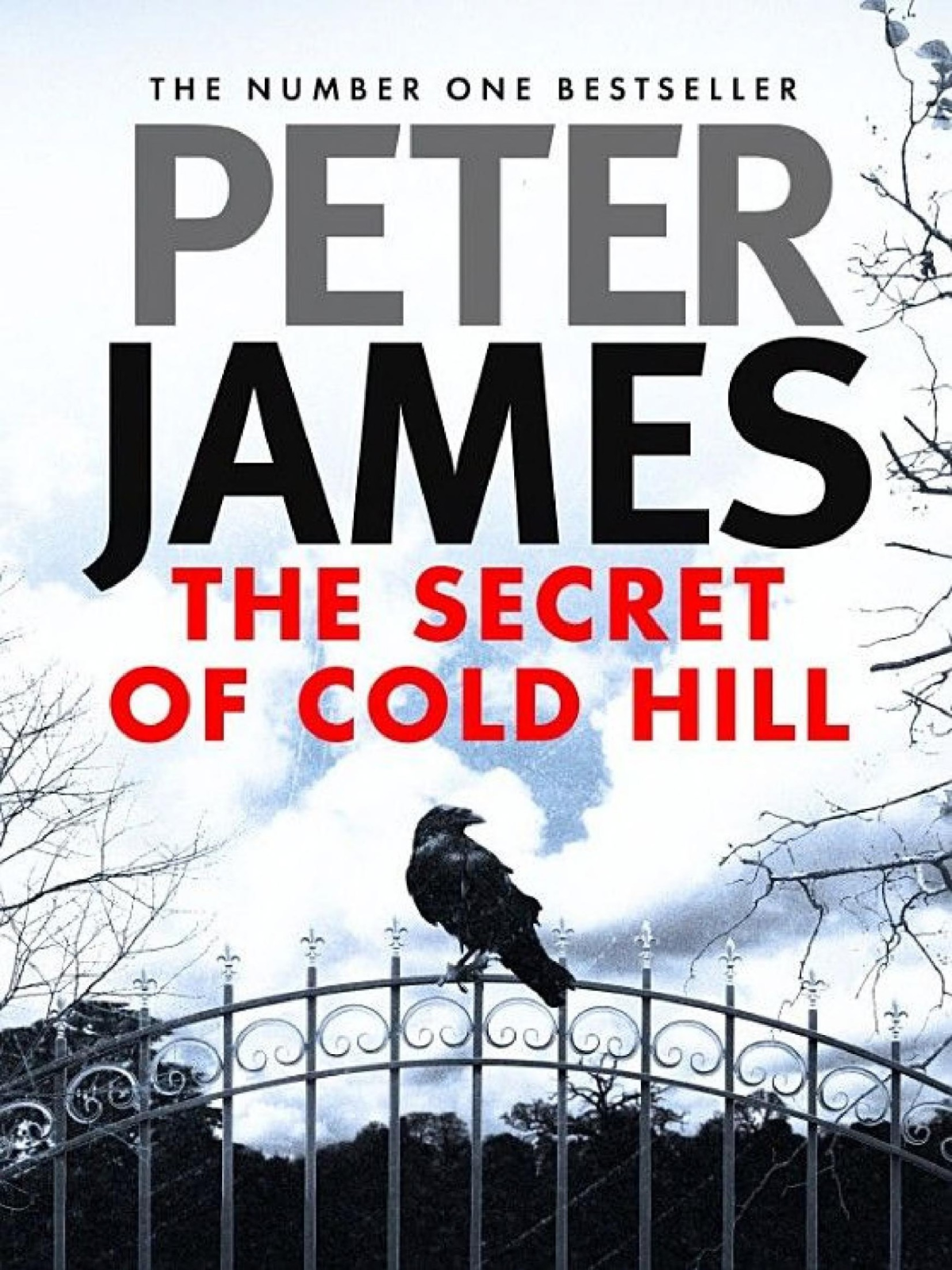 The Secret Of Cold Hill House On Cold Hill 2 Peter James