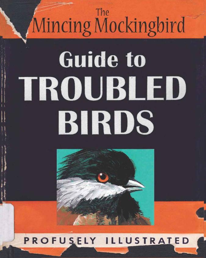 Guide To Troubled Birds Mockingbird The Mincing