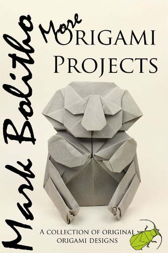 More Origami Projects Mark Bolitho