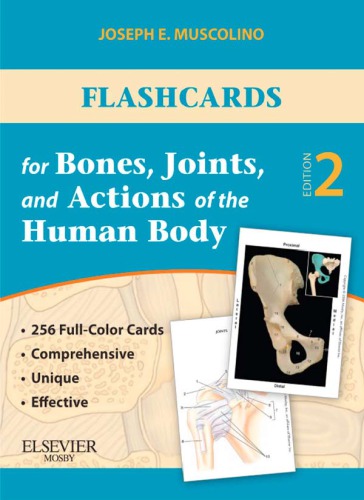 Flashcards For Bones Joints And Actions Of The Human Body 2nd Edition Joseph E Muscolino