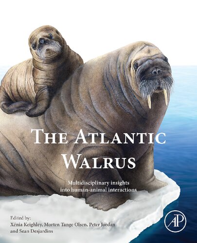 The Atlantic Walrus Multidisciplinary Insights Into Humananimal Interactions 1st Edition Xnia Keighley Editor