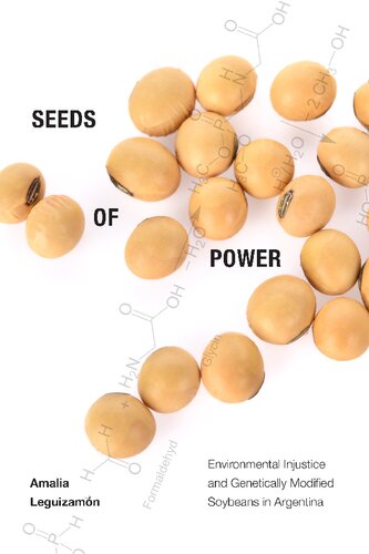 Seeds Of Power Environmental Injustice And Genetically Modified Soybeans In Argentina Amalia Leguizamn