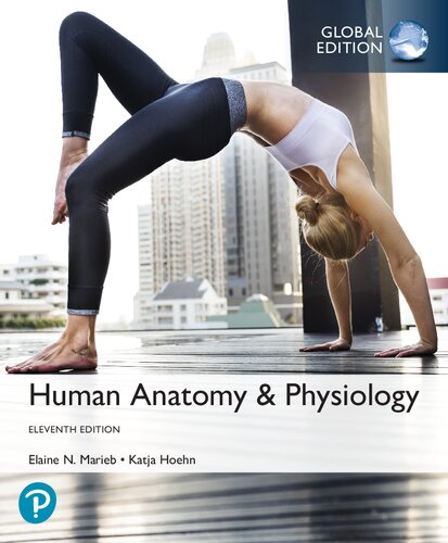 Human Anatomy And Physiology Plus Pearson Mastering 11 Global Suzanne M Keller Elaine Nicpon Marieb