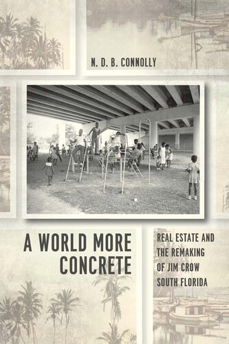 A World More Concrete Real Estate And The Remaking Of Jim Crow South Florida N D B Connolly