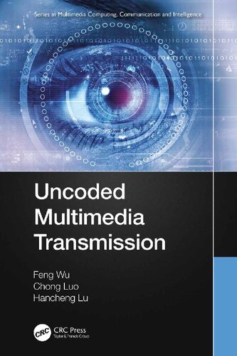 Effective Surveillance For Homeland Security Balancing Technology And Social Issues Multimedia Computing Communication And Intelligence 1st Edition Francesco Flammini Editor