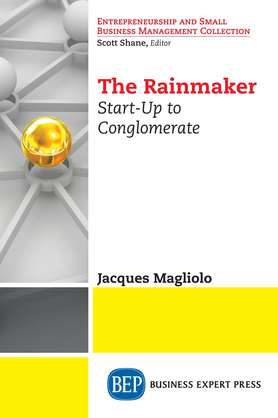 The Rainmaker Startup To Conglomerate Jacques Magliolo Author