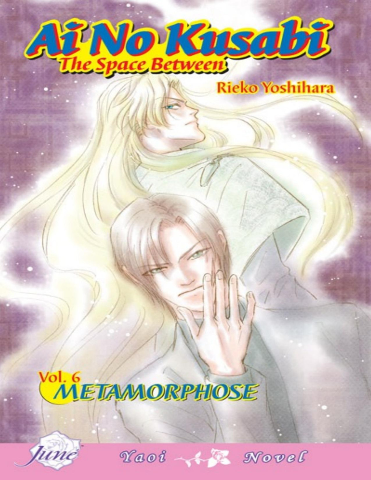 Ai No Kusabi The Space Between Volume 6 Metamorphose Rieko Yoshihara