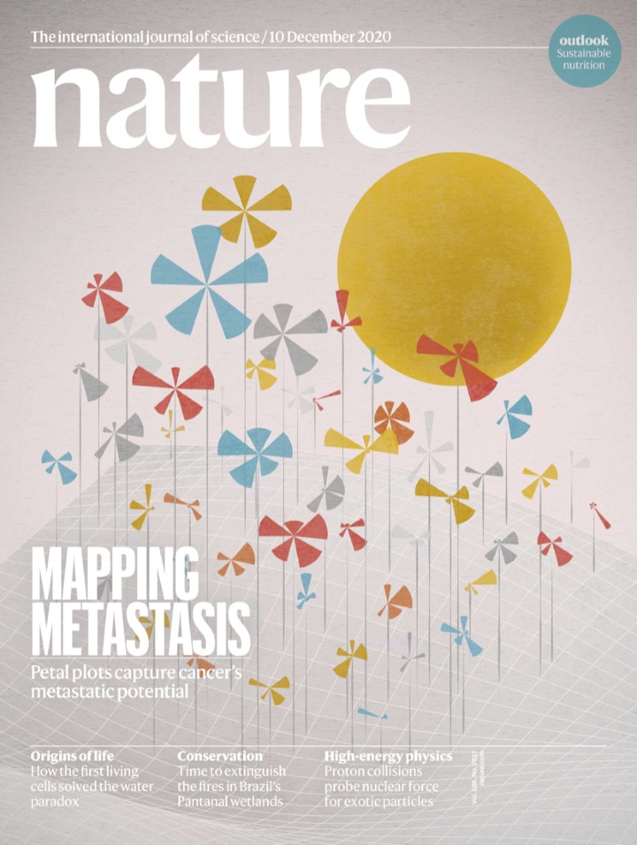 Nature Magazine 20201210 Nature Magazine