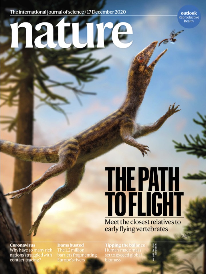 Nature Magazine 20201219 Calibre Calibre
