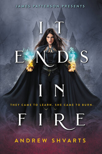 It Ends In Fire Andrew Shvarts