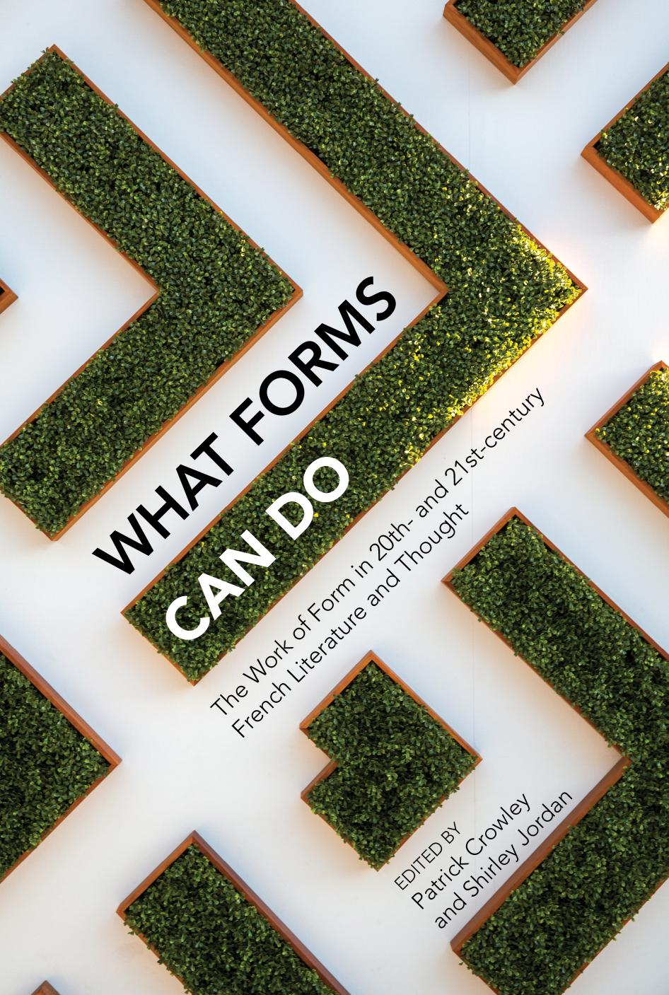 What Forms Can Do The Work Of Form In 20th And 21st Century French Literature And Thought Contemporary French And Francophone Cultures 69 Shirley Jordan Editor