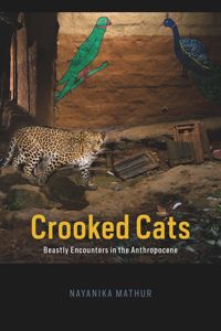 Crooked Cats Beastly Encounters In The Anthropocene Nayanika Mathur