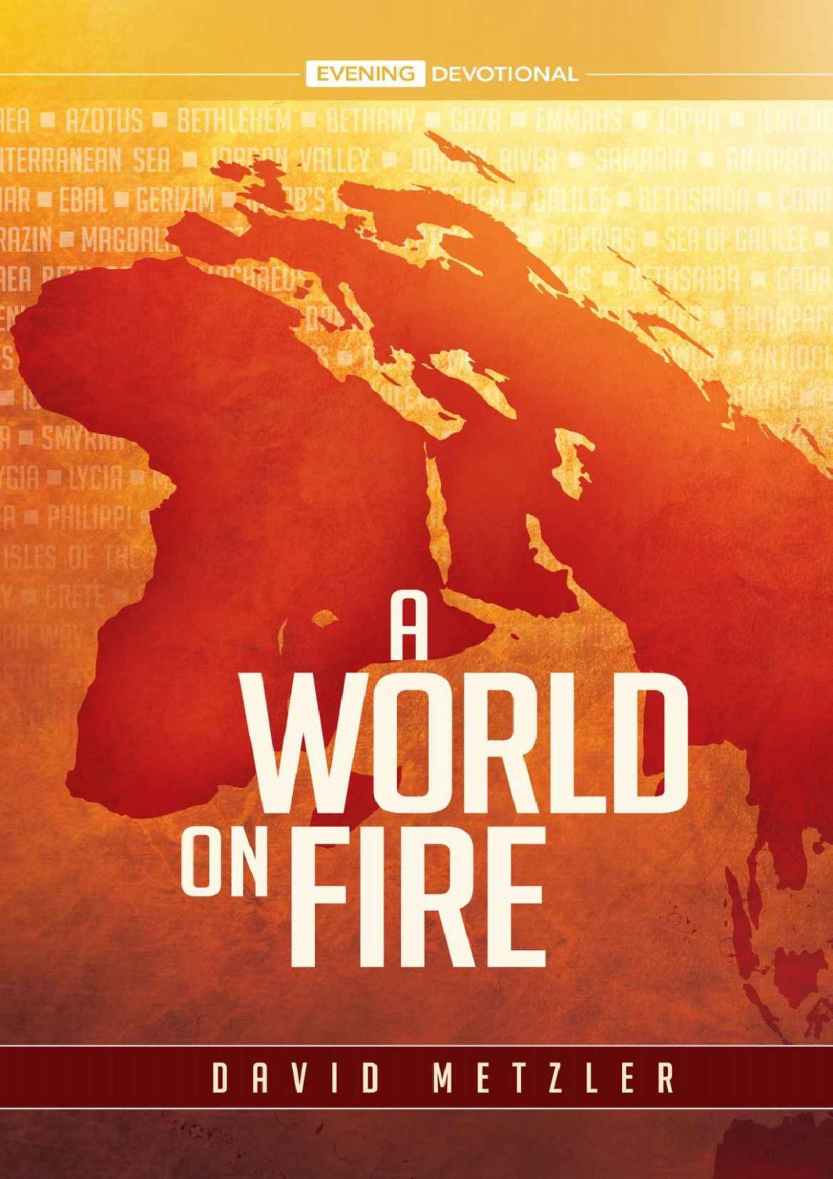 A World On Fire David Metzler