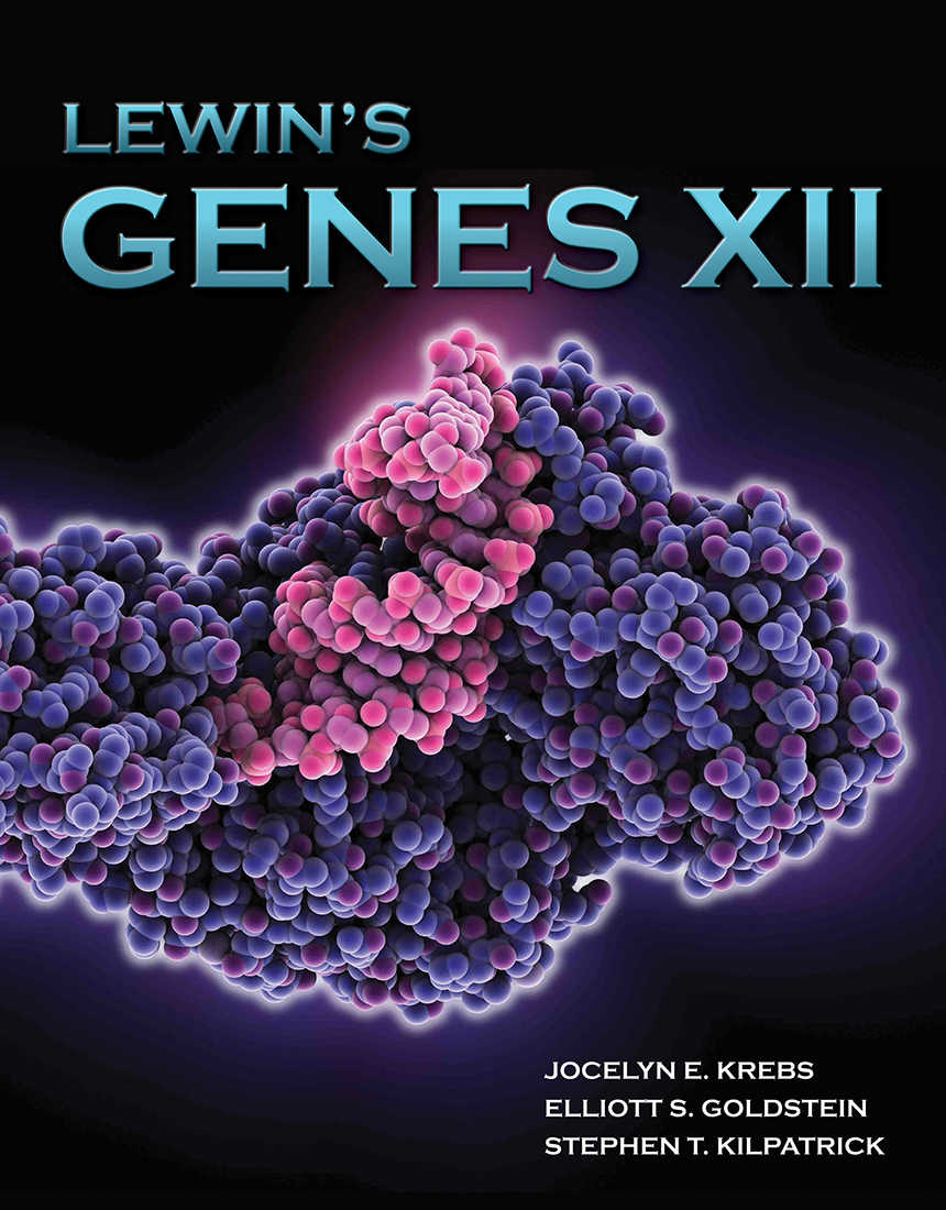 Lewins Genes Xii Jocelyn E Krebs Elliott S Goldstein Stephen T Kilpatrick Krebs