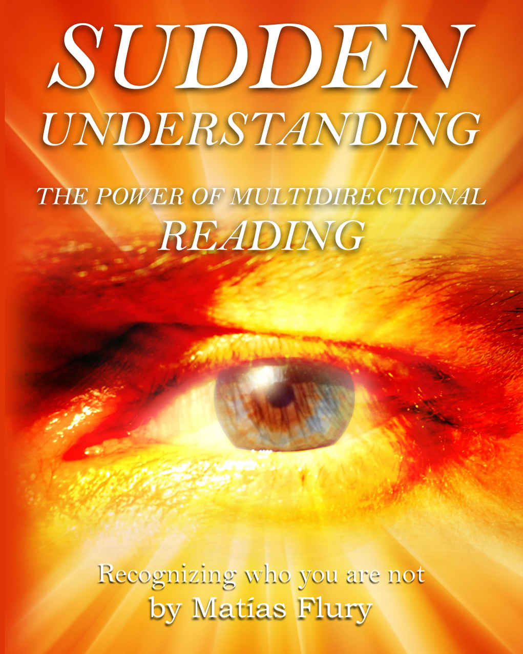 Sudden Understandingrecognizing Who You Are Not The Power Of Multi Directional Reading Flury Matias