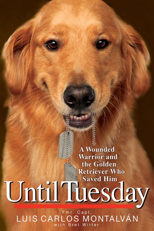 Until Tuesday A Wounded Warrior And The Golden Retriever Who Saved Him Luis Carlos Montalvan Montalvan