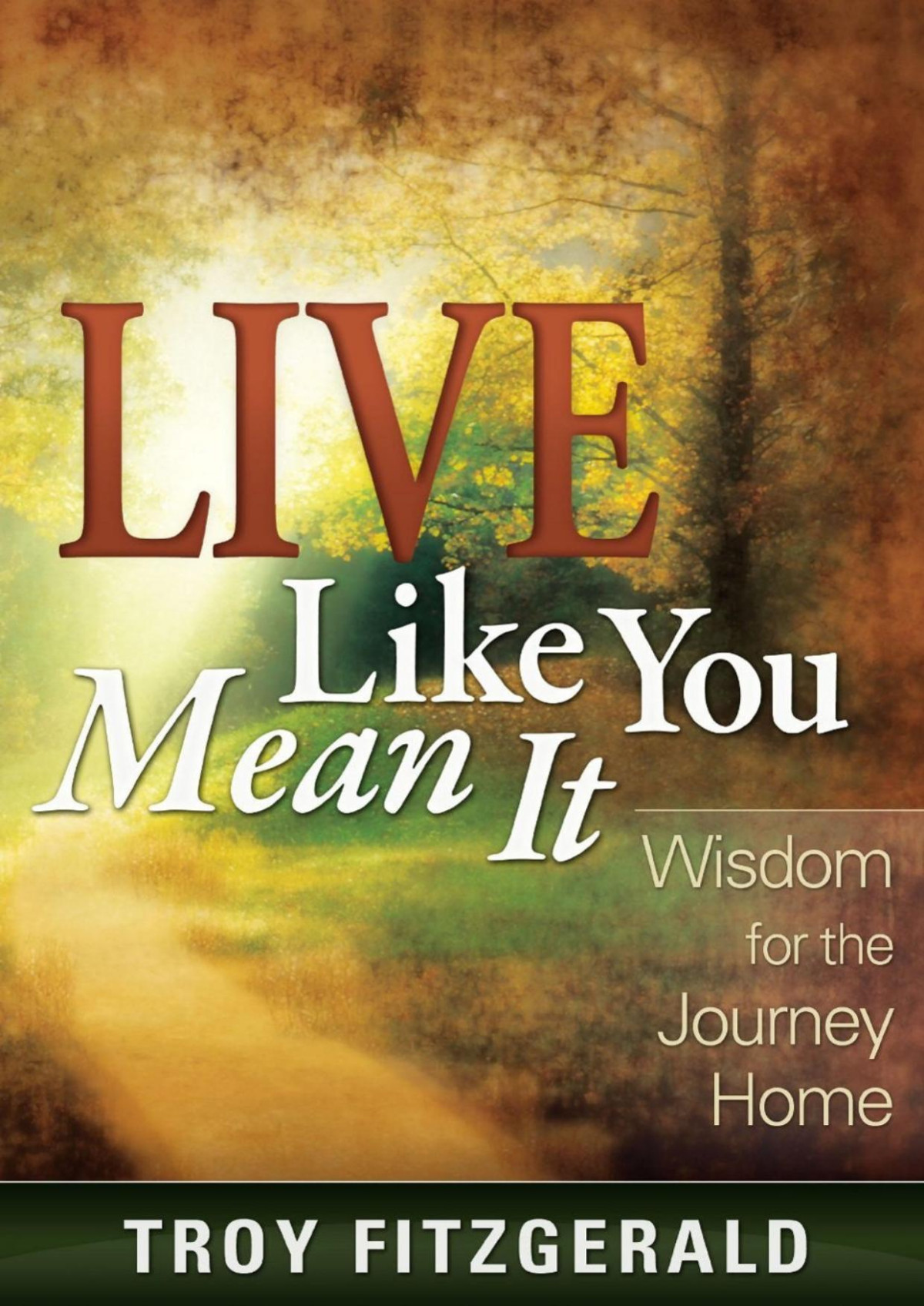 Live Like You Mean It Troy Fitzgerald