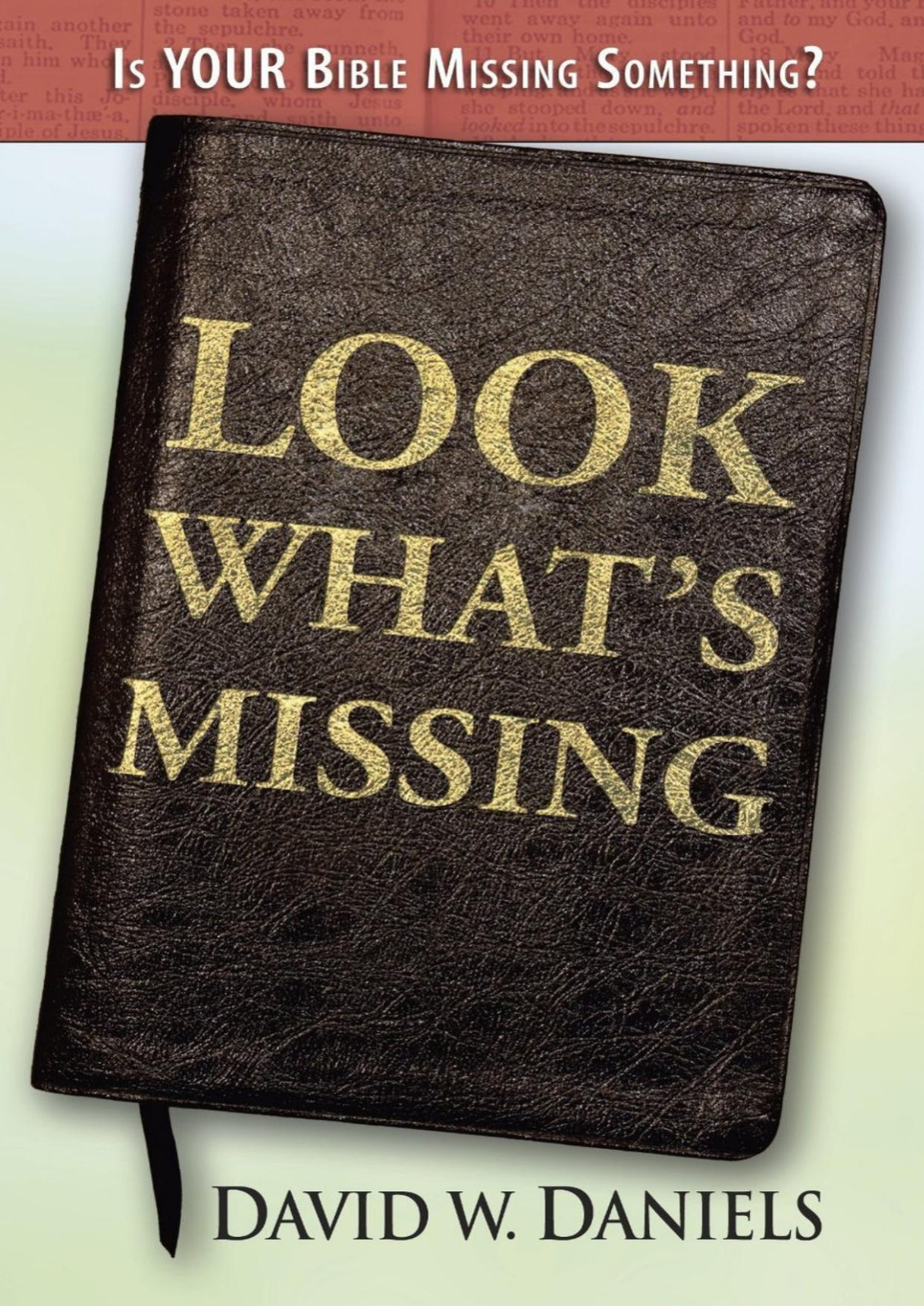 Look Whats Missing David W Daniels