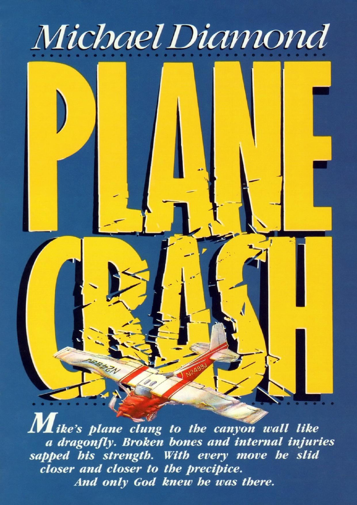 Plane Crash Michael Diamond
