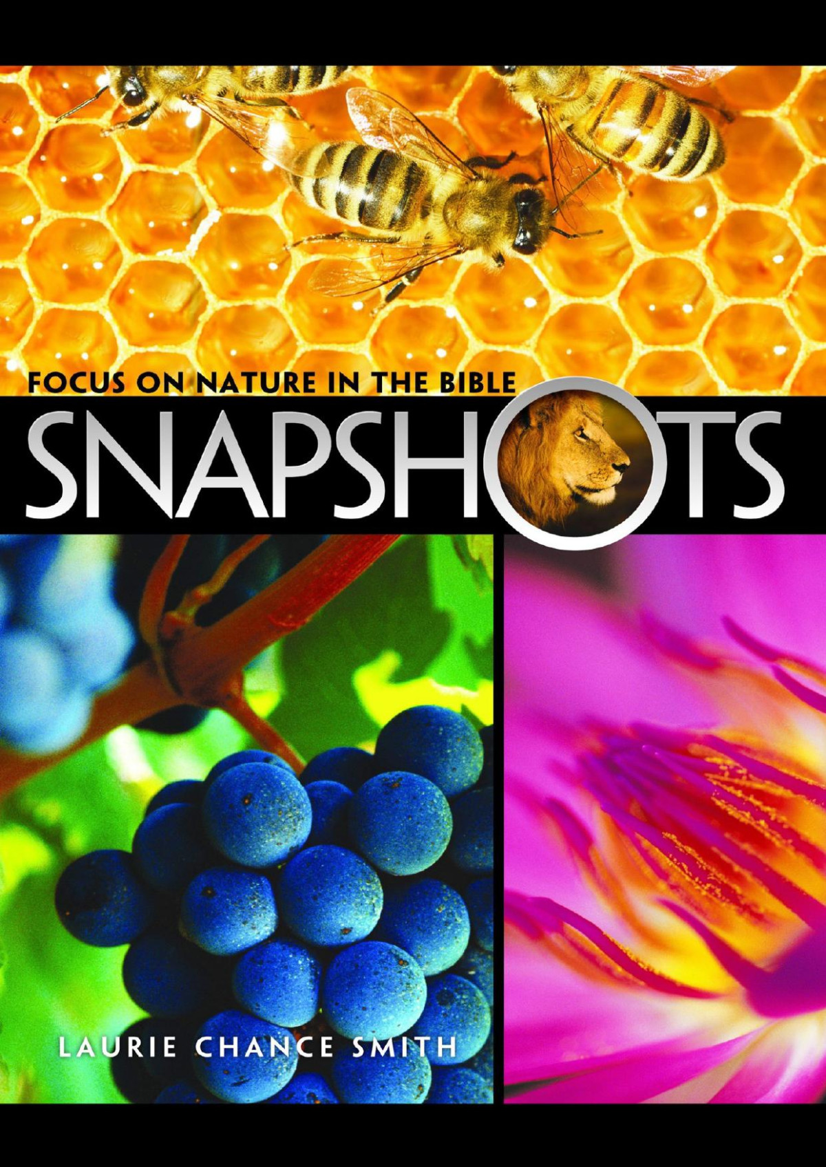 Snapshots Laurie Chance Smith