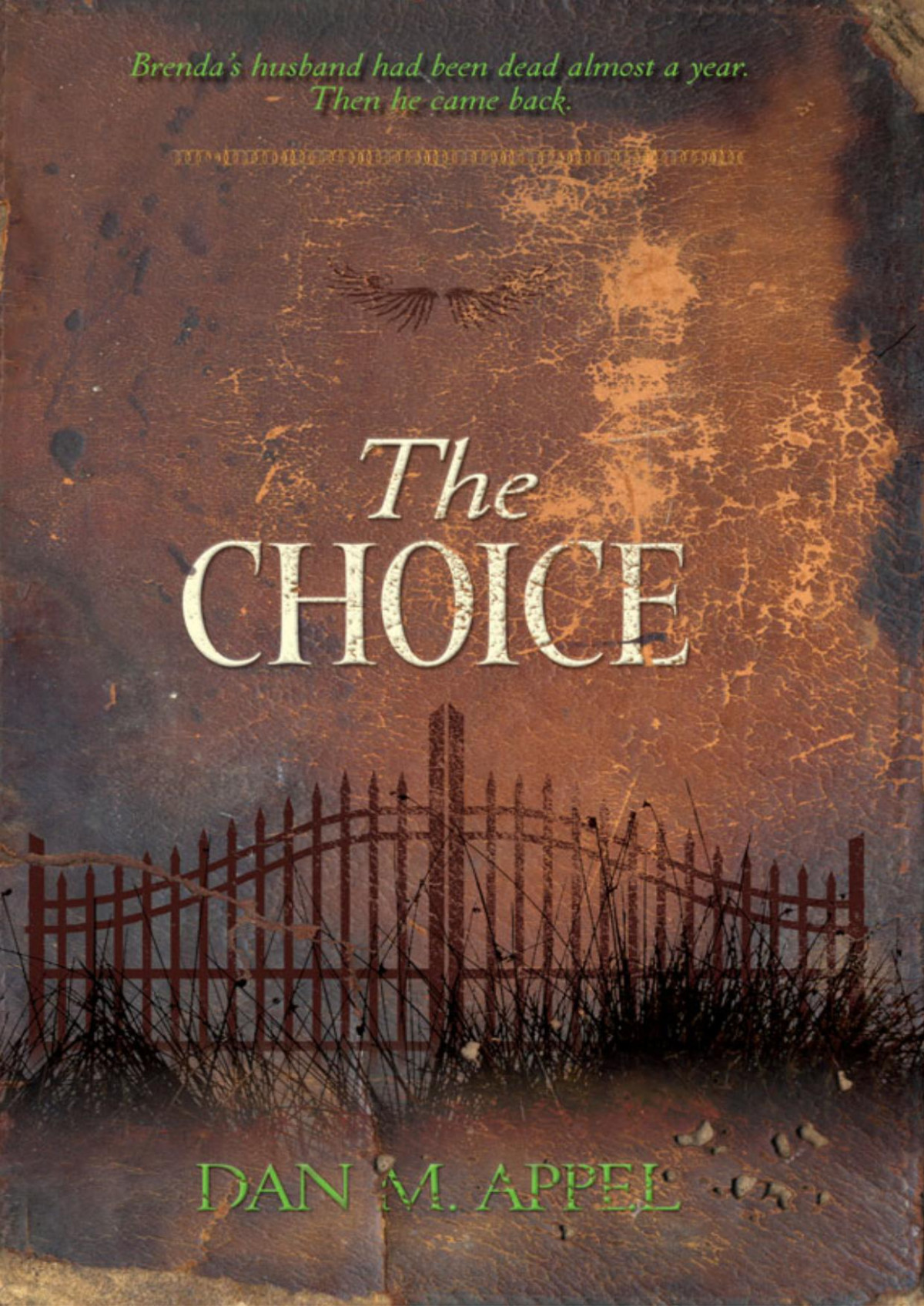 The Choice Dan M Appel