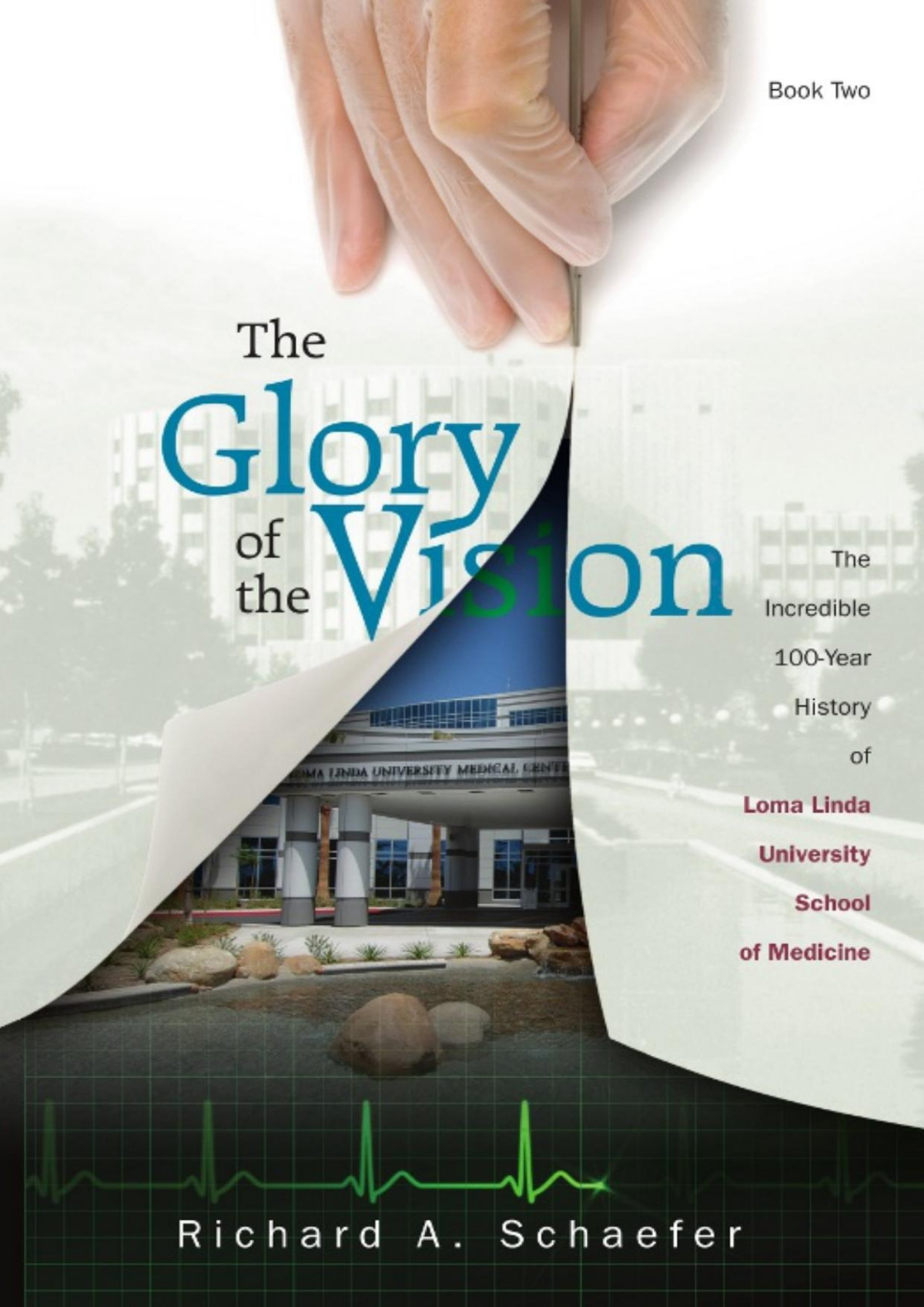 The Glory Of The Vision Book Two Richard A Schaefer