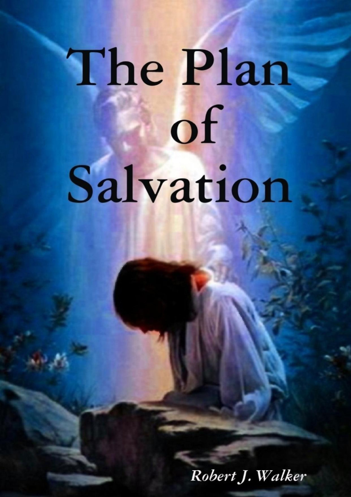 The Plan Of Salvation Robert J Walker