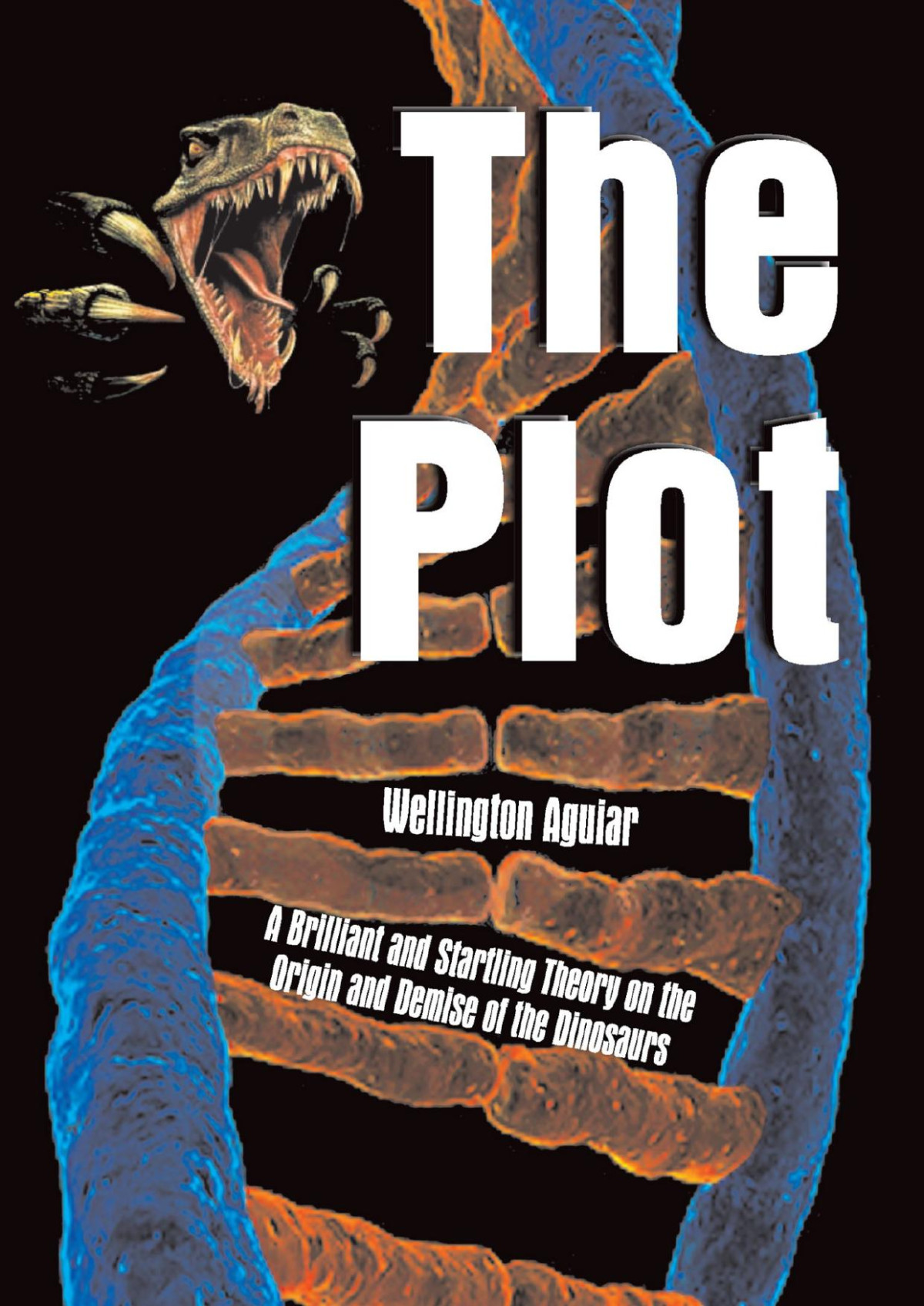 The Plot Wellington Aguiar