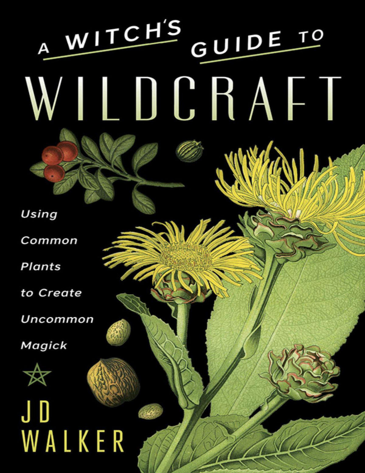 A Witchs Guide To Wildcraft Jd Walker Jd Walker