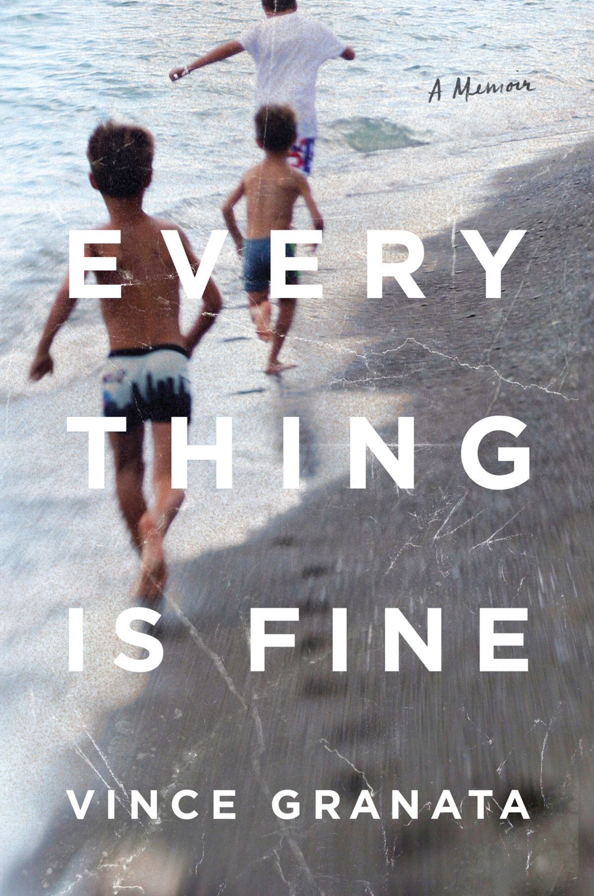 Everything Is Fine Vince Granata