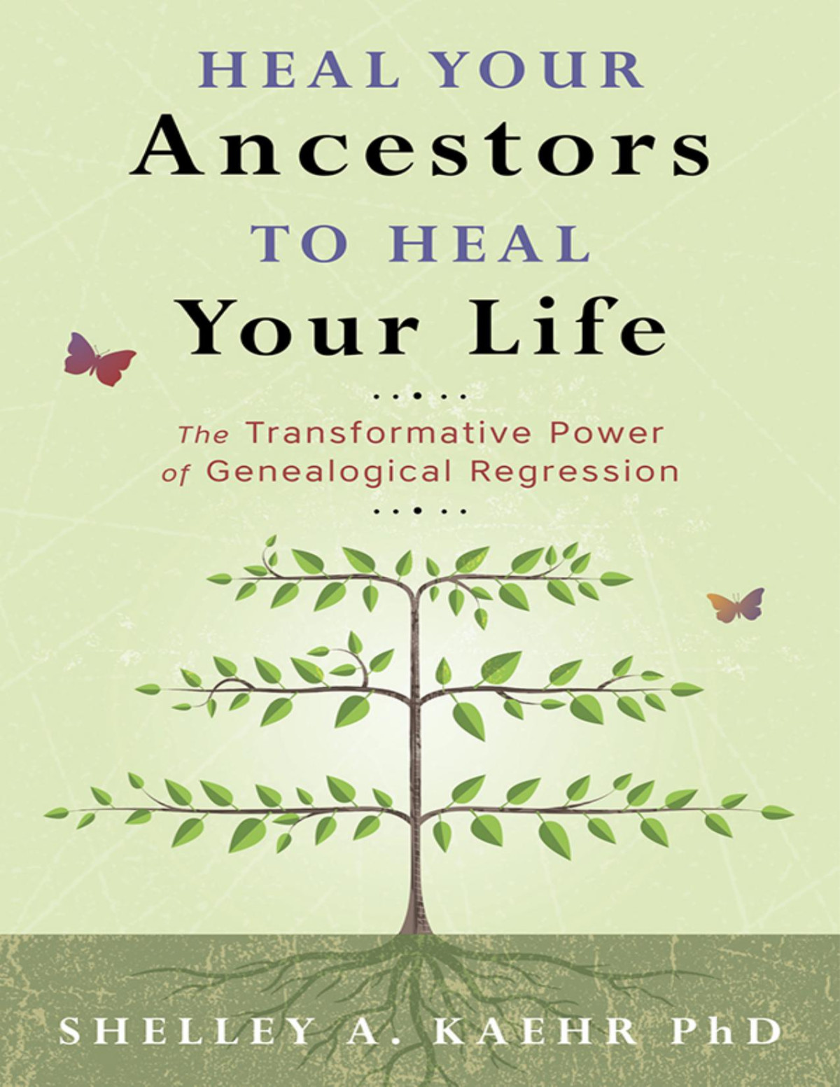 Heal Your Ancestors To Heal Your Life Shelley A Kaehr Shelley A Kaehr