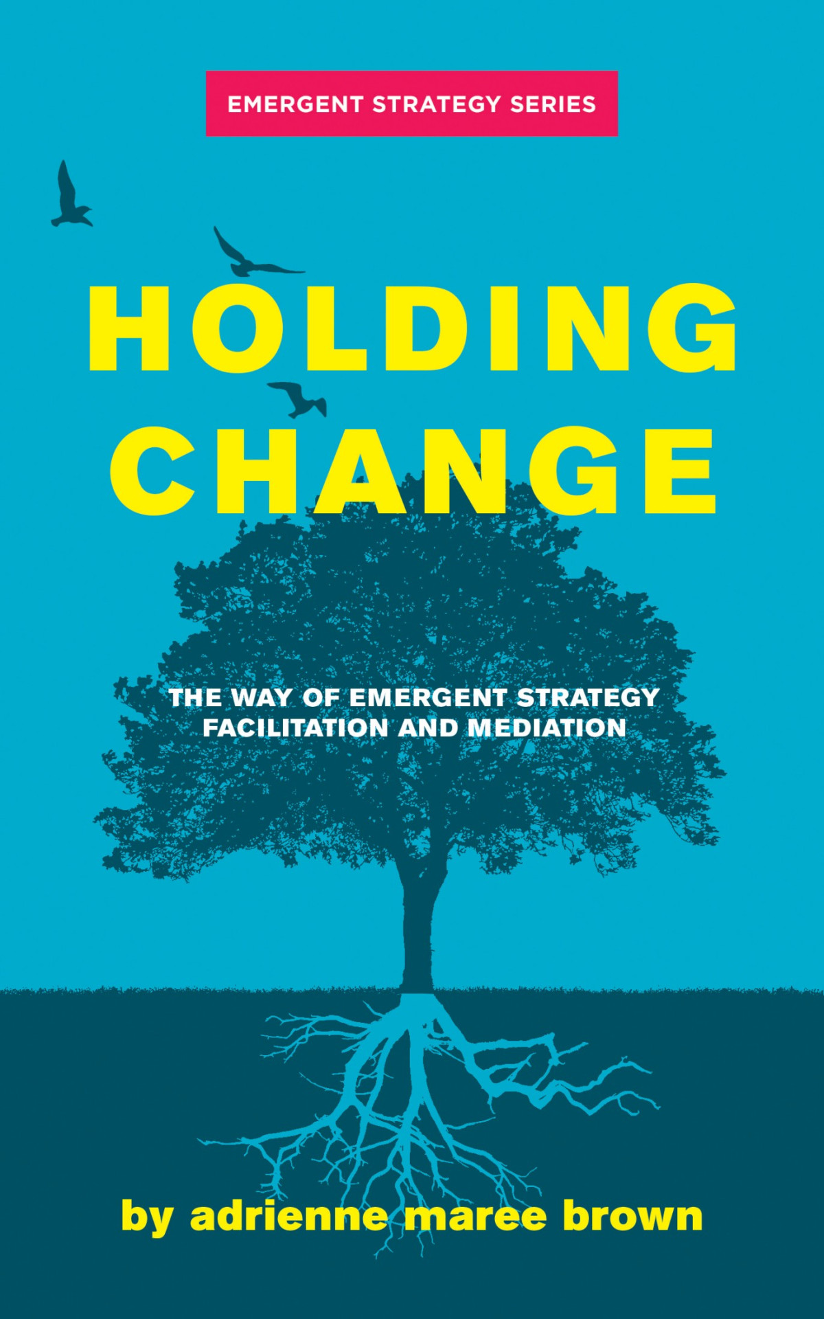 Holding Change Adrienne Maree Brown