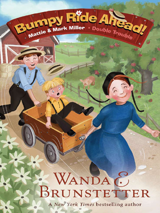 Bumpy Ride Ahead Wanda E Brunstetter Brunstetter Wanda E