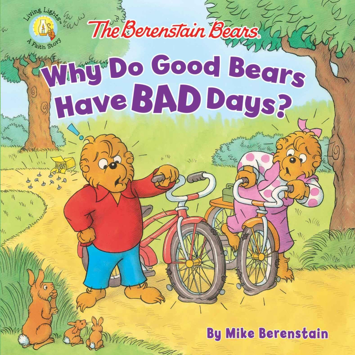 Why Do Good Bears Have Bad Days Stanjan Berenstain Berenstain